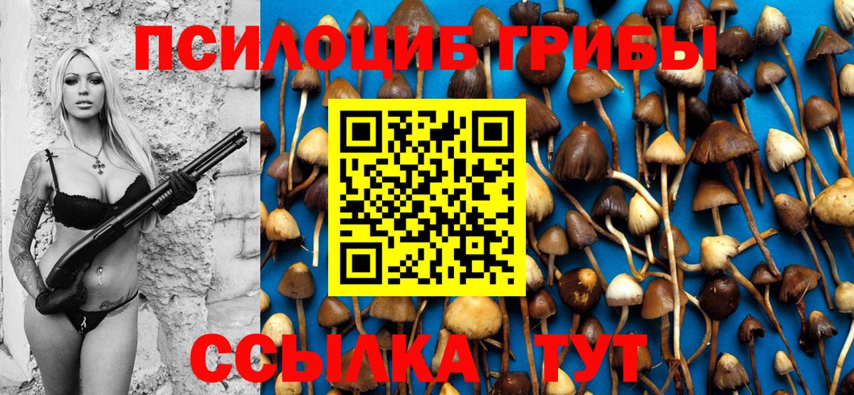 Псилоцибиновые грибы MAGIC MUSHROOMS  Вход с VPN  Усолье-Сибирское 