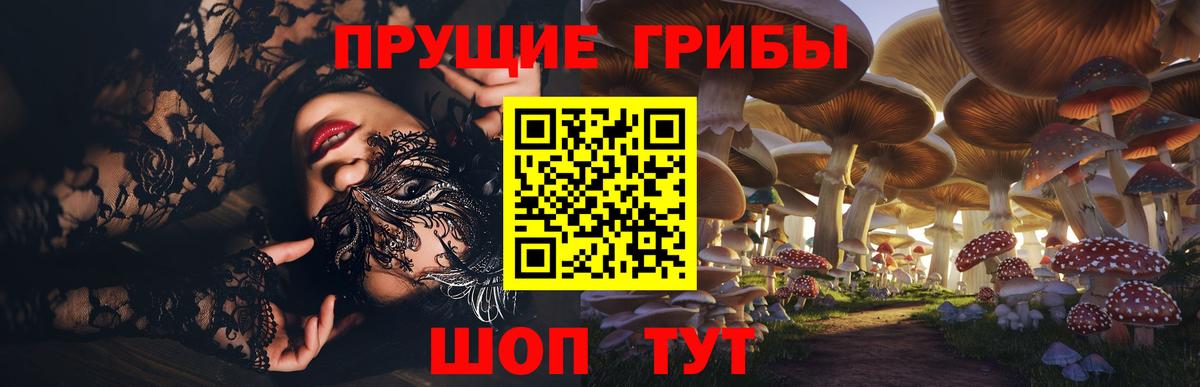 Псилоцибиновые грибы Psilocybe Усолье-Сибирское